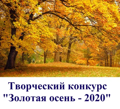 Ода ушедшему лету... С приходом осени! Собираем урожай, планируем сад... |  Светлана Айрисман | Дзен