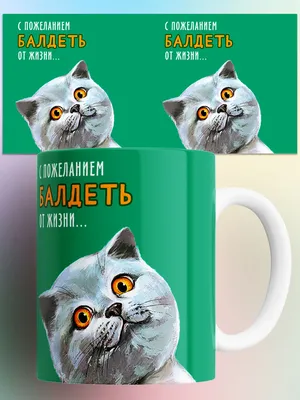 Кружка "прикол С пожеланием балдеть о жизни котик", 330 мл - купить по  доступным ценам в интернет-магазине OZON (1249960762)