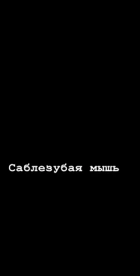 Обои с приколами | Мас обои, Забавные обои, Обои