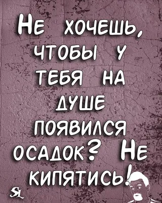 Шутки.Прикол.Юмор.Мемы.Жизнь.Jokes. .A   humor.   | Новые цитаты, Вдохновляющие цитаты, Мудрые  цитаты