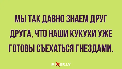 Прикол / Подушка "Пердушка" 13 см - купить по выгодным ценам в  интернет-магазине OZON (1036889030)