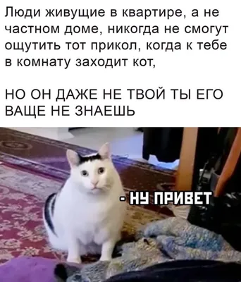 Не груби приятным людям. Они,как правило, самый страшные люди, когда  сердятся. / randomphilia :: Смешные комиксы (веб-комиксы с юмором и их  переводы) / смешные картинки и другие приколы: комиксы, гиф анимация, видео,