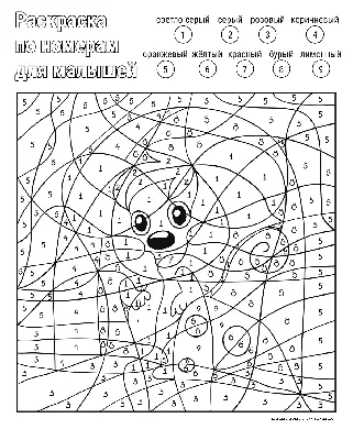 Раскраски с примерами в пределах 10 распечатать бесплатно в формате А4 (15  картинок) | 