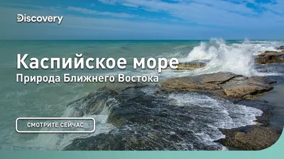 Купить 3D обои с видом на море, балкон, фотообои с природой, гостиная,  спальня, тема, настенная роспись в отеле, обои | Joom