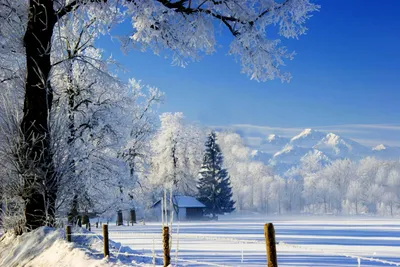 Картинки Зима Природа Времена года
