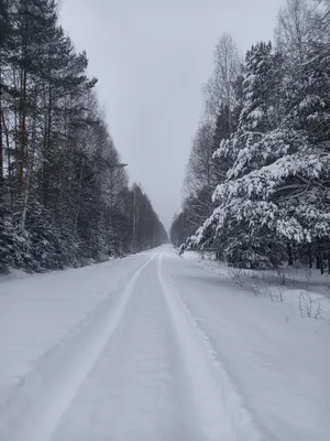 река :: снег :: зима :: Природа (красивые фото природы: моря, озера, леса)  :: фото / смешные картинки и другие приколы: комиксы, гиф анимация, видео,  лучший интеллектуальный юмор.