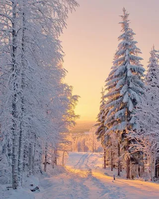 Картинки природа, зима, горы, лес, фотошоп, дом, лес, закат, небо,облака -  обои 2560x1440, картинка №122895