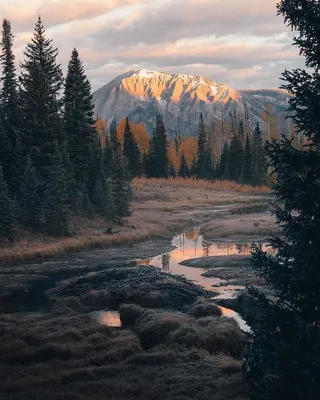 Фото: Единение с природой: свадьба в Норвегии - Weddywood