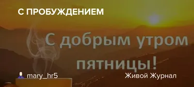 Обзор всех Кошек и Оборотней с 2 ПРОБУЖДЕНИЕМ ➔ ТОП семейства или полный  КОРМ? + коммент ✓ - YouTube