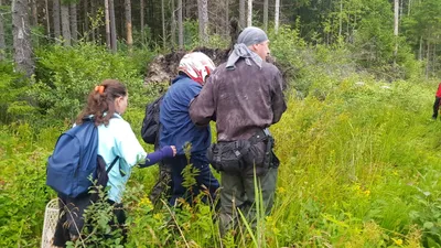 Пропала собака в Октябрьском, найден щенок с просьбой о помощи | 