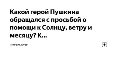 Пропали два котенка в Эсто-Садок, просьба о помощи | 