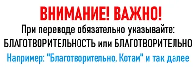 Просьба о помощи ребенку с аккаунта каменчанки оказалась мошенничеством! –   инфопортал Каменецкого района