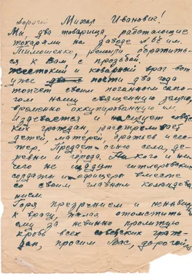 Александр Моор обратился к жителям региона с просьбой подарить заботу  одиноким пожилым людям | Вслух.ru