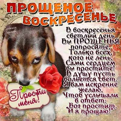 Открытки прощённое воскресенье прощёное воскресенье православный праздник  открытка с щенком