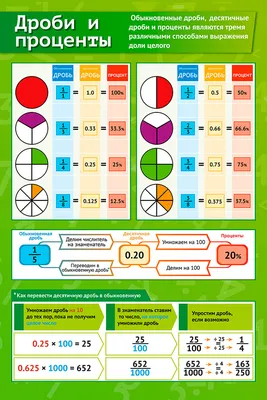 Плакат обучающий А2 ламинир. Дроби и проценты развивающий по алгебре  610x914 мм - купить с доставкой по выгодным ценам в интернет-магазине OZON  (339679803)