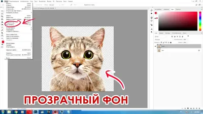 Как сделать картинку с прозрачным фоном при помощи Paint Net - GIT GUD