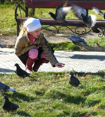 Ветка осока с птичками искусственная