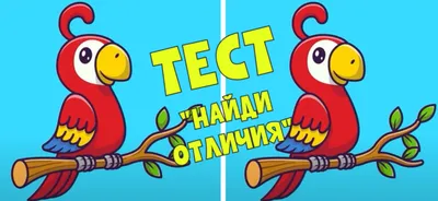 ТЕСТ "Сличаем попугаев": найди 3 отличия между птичками за 8 секунд! |  Mixnews