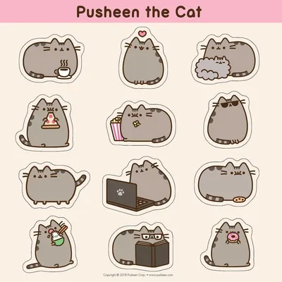 ◇ Pusheen the cat（Пушин кошка）◇ | Pusheen cat, Pusheen cute, Pusheen