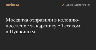 Москвичу дали год колонии за перепост картинки с Пушкиным и Тесаком