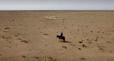 Под пустыней Сахара находятся самые крупные запасы подземной пресной воды в  мире