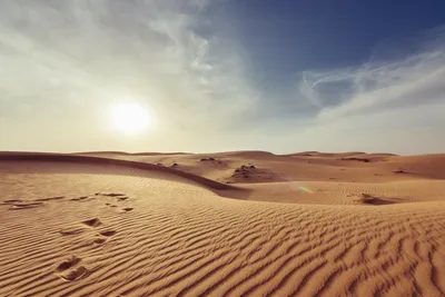 Полёт на воздушном шаре над пустыней Дубая 🧭 цена экскурсии $299, отзывы,  расписание экскурсий в Дубае