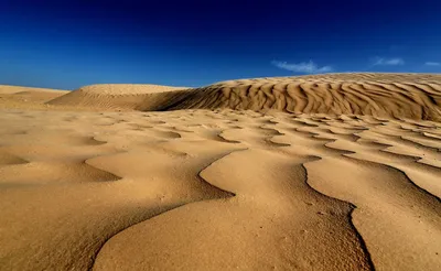 Ученые: Сахара стала пустыней из-за похолодания: новости, сахара, пустыня,  люди и события