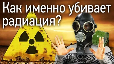Вся правда о Чернобыле карликовые пришельцы в реке Припять: В зараженной  радиацией реке Припять нашли карликового пришельца - мир поражен новой  находкой в Чернобыле