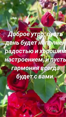 В музыку с радостью. Хрестоматия. 1–3 класс. Полифония. Крупная форма.  Этюды. Гаммы