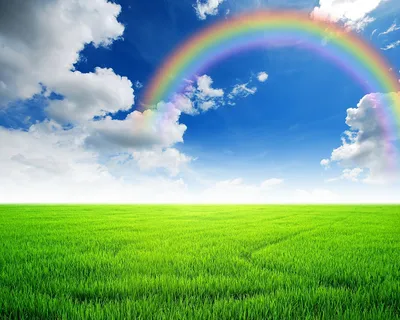 Небо, радуга - обои на телефон бесплатно. | Rainbow wallpaper, Cloud  wallpaper, Rainbow sky