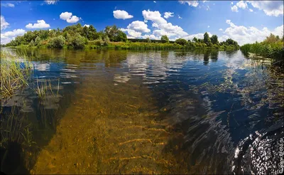 С разрешением 12000 картинки