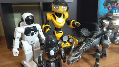 Секс с роботами: не миф, а реальность - Delfi RU