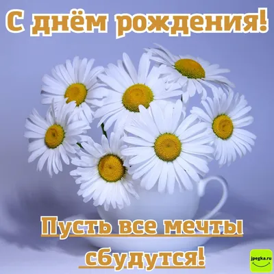 Красивые открытки с ромашками "С днем рождения!" 🌼💛 (31 шт.)