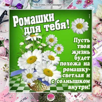 С днем рождения! — Лукошко с крупными ромашками и васильками — Открытка  1986 года - Старая открытка - открытки СССР