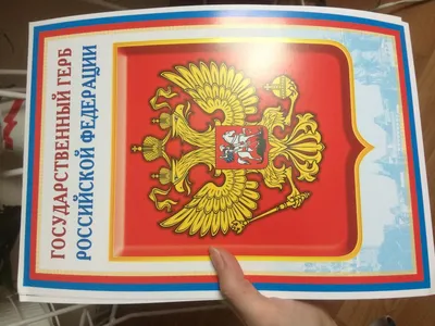 Купить одежду с символикой России от 290 руб в интернет магазине