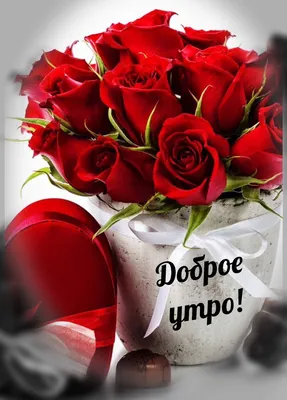 Купить "Доброе утро" Композиция из роз в Москве по 7250 ₽ арт – 14340