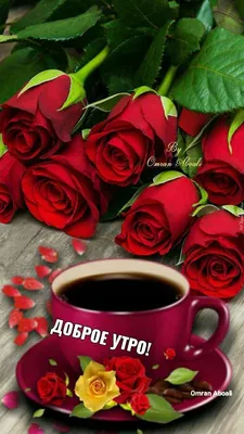 Доброе утро, розы — Открытки к празднику