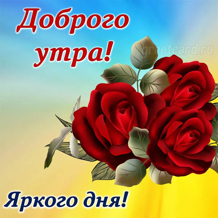 Картинка доброе утро с яркими красными розами