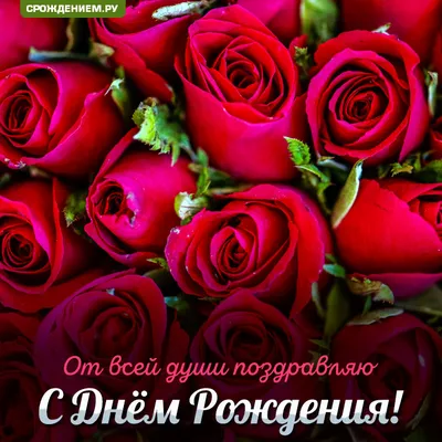 Открытки с розами "С днем рождения!" 🌹 Красивые открытки! (129 шт.)