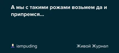 Они ко мне подошли с наглыми рожами, сунули камеру в салон» – Коммерсантъ  FM – Коммерсантъ