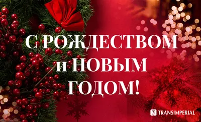 Католическое рождество 2022: поздравления в стихах, прозе и картинках |  ВЕСТИ