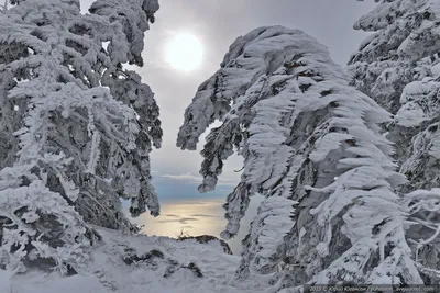 Новогодние праздники в 2015 году продлятся 11 дней — РБК