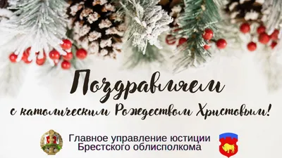 Католическое Рождество 2023: волшебные открытки с поздравлениями - МК  Волгоград