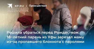 Решила убраться перед Рождеством: 18-летний парень из Уфы зарезал маму  из-за пропавшего блокнота с паролями - 