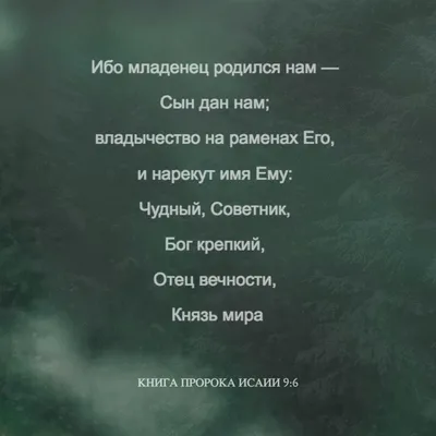 ✨ С Рождеством Христовым!🎄 Стихотворение о знаменитом Храме России "Храм  Спаса на Крови" и поздравление к светлому празднику  | Степан  Кадашников. Стихи и песни | Дзен