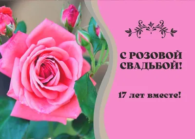 Красивые открытки! Открытка с годовщиной свадьбы 10 лет, розовая свадьба 10  лет!