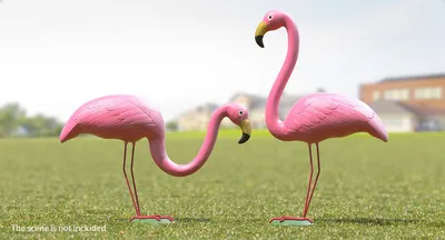 Фотообои на стену Розовые фламинго - Птицы Животные