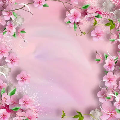 Розовый фон с цветами - фото и картинки: 73 штук