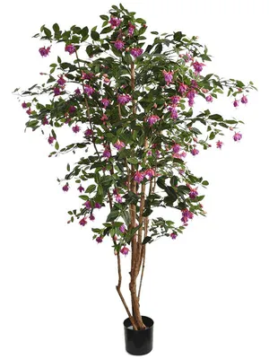 Фуксия дерево с цветами искусственная H170 см (арт. 8JA086LAV) - купить за  56 277 ₽ в интернет-магазине Гарден Гров