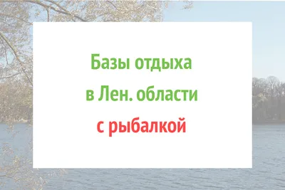 Рыбалка в Волгоградской области 2024—2025: лучшие места, где можно ловить  рыбу